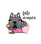 Song Saep（個別スタンプ：3）