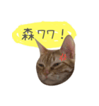 A fat cat's life（個別スタンプ：14）