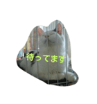 犬猫日常系スタンプ（個別スタンプ：22）