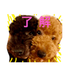 pes＆polo（個別スタンプ：1）