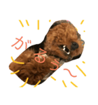 pes＆polo（個別スタンプ：6）