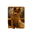ハナさん記念写真（個別スタンプ：2）