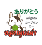 甘えん坊なウサギ日本語タイ語（個別スタンプ：15）