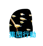 魚類（個別スタンプ：7）