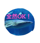 魚類（個別スタンプ：16）