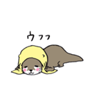 コツメカワウソの竹千代 2（個別スタンプ：9）