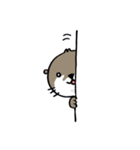 コツメカワウソの竹千代 2（個別スタンプ：13）
