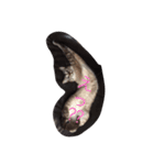 うちのねこ（ちゃちゃこま）（個別スタンプ：5）