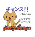 甘えん坊な猫日本語タイ語（個別スタンプ：14）