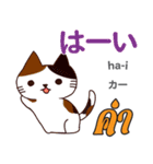 甘えん坊な猫日本語タイ語（個別スタンプ：23）