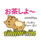 甘えん坊な猫日本語タイ語（個別スタンプ：38）