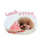 トイプードル メルちゃん（個別スタンプ：8）