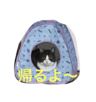 サスケの日常3（個別スタンプ：3）