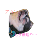 もずうにの日常（個別スタンプ：5）