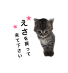 うのミウ（個別スタンプ：29）