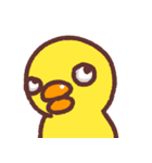 Cutie baby duck3（個別スタンプ：3）