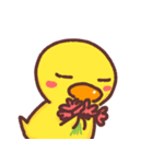 Cutie baby duck3（個別スタンプ：6）