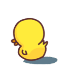 Cutie baby duck3（個別スタンプ：12）