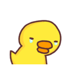 Cutie baby duck3（個別スタンプ：16）
