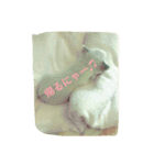 さかた にゃーちゃん（個別スタンプ：28）