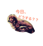 ダックスのアンディくんと愉快な仲間たち2（個別スタンプ：10）