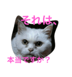 でぶねこ2（個別スタンプ：18）