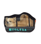 LIMEでやんす☆（個別スタンプ：9）