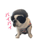 ペタペタ丸っち（個別スタンプ：16）