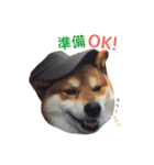 柴犬 テツくん（個別スタンプ：23）