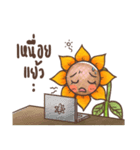 SunSun (Thai Sunflower)（個別スタンプ：11）