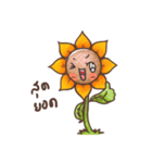 SunSun (Thai Sunflower)（個別スタンプ：29）