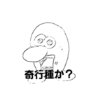 タムビーンズ（個別スタンプ：15）