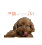 れおさん②（個別スタンプ：6）