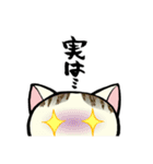 ねこさま王国 2（個別スタンプ：5）