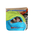 とっっても大好きフクロモモンガ（個別スタンプ：22）