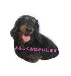 めるまりん3（個別スタンプ：1）