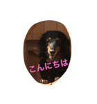 めるまりん3（個別スタンプ：5）