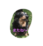 めるまりん3（個別スタンプ：6）