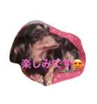 めるまりん3（個別スタンプ：8）