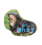 めるまりん3（個別スタンプ：9）