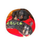 めるまりん3（個別スタンプ：14）