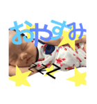 しゅうあ（個別スタンプ：6）