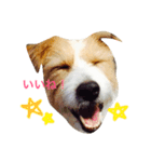 みゅうのきもち（個別スタンプ：3）