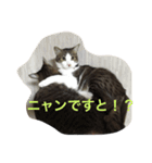 あんこ＆ミルク@（個別スタンプ：5）
