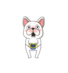 Bert The French Bulldog 4（個別スタンプ：21）