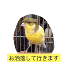 pino and friends DX（個別スタンプ：2）
