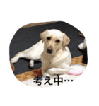 十字架の気分♪3（個別スタンプ：13）