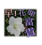 Greetings greetings（個別スタンプ：5）