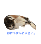 つぶとろさん2（個別スタンプ：13）