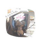 わが家の大阪弁ろびんちゃん。（個別スタンプ：5）
